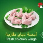 أجنحه1111111111
