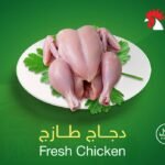 دجاج طازج