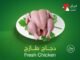 دجاج طازج