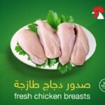 صدور